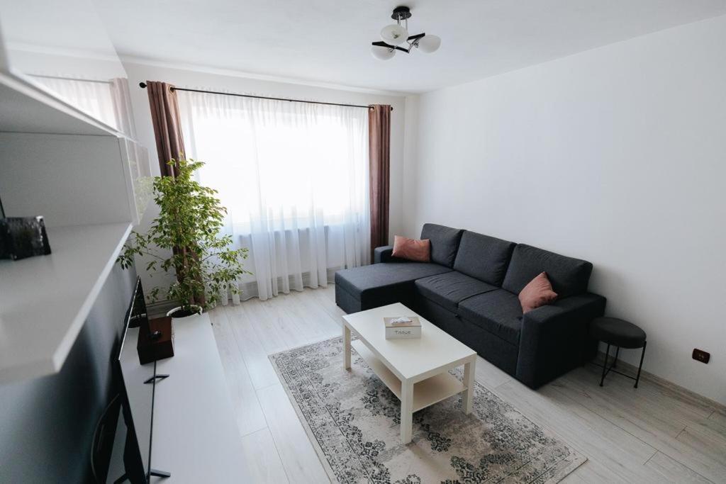 Scandinavian House Apartment Târgu Jiu Exterior foto